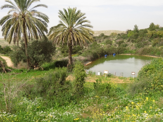 https://mdw-travel-data-us-east-1.s3.amazonaws.com/img/country/Israel/Neot-Kedumim/img_02.jpg