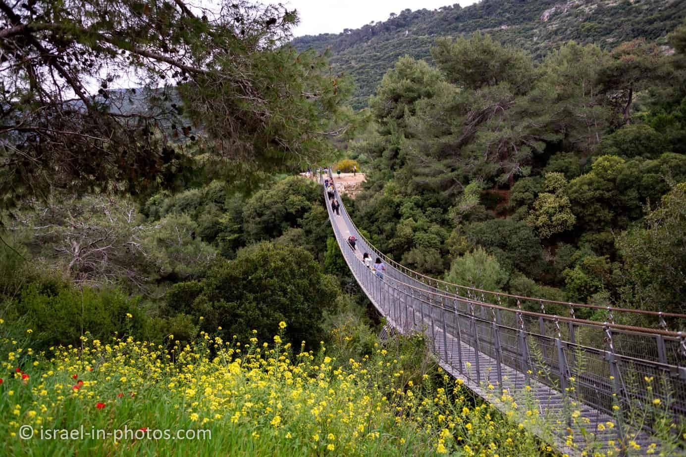 https://mdw-travel-data-us-east-1.s3.amazonaws.com/img/country/Israel/Nesher-Park/img_03.jpg