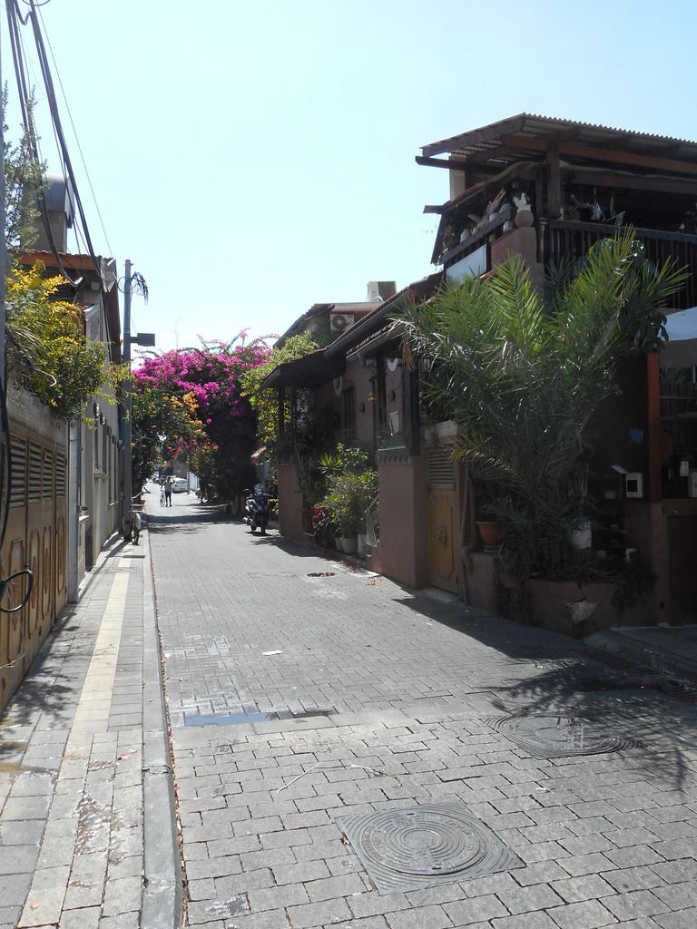 https://mdw-travel-data-us-east-1.s3.amazonaws.com/img/country/Israel/Neve-Tzedek/img_01.jpg