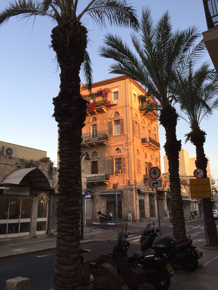 https://mdw-travel-data-us-east-1.s3.amazonaws.com/img/country/Israel/Old-Jaffa/img_00.jpg
