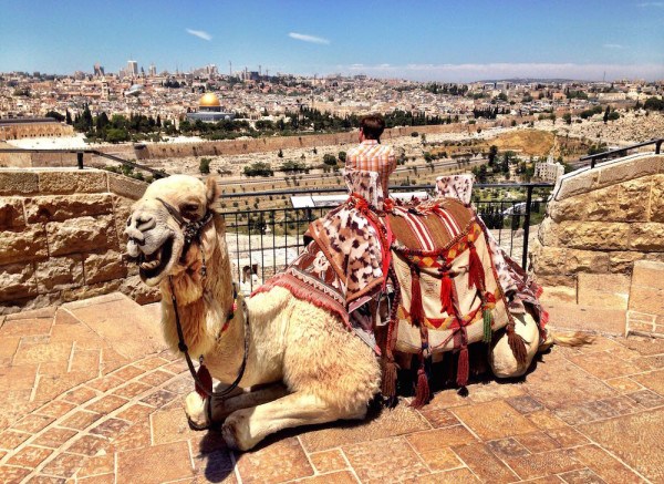 https://mdw-travel-data-us-east-1.s3.amazonaws.com/img/country/Israel/Orna-Tzippora-Park/img_01.jpg