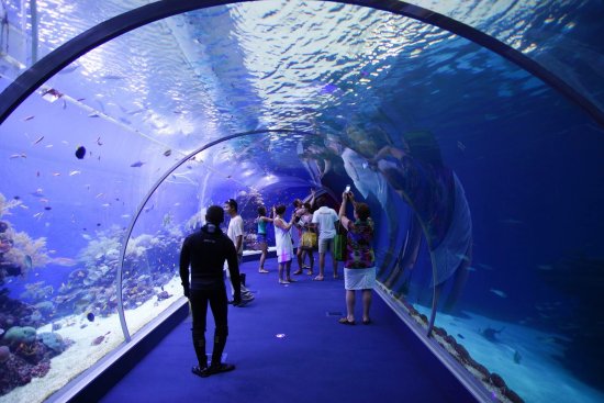 https://mdw-travel-data-us-east-1.s3.amazonaws.com/img/country/Israel/Underwater-Observatory-Marine-Park/img_01.jpg