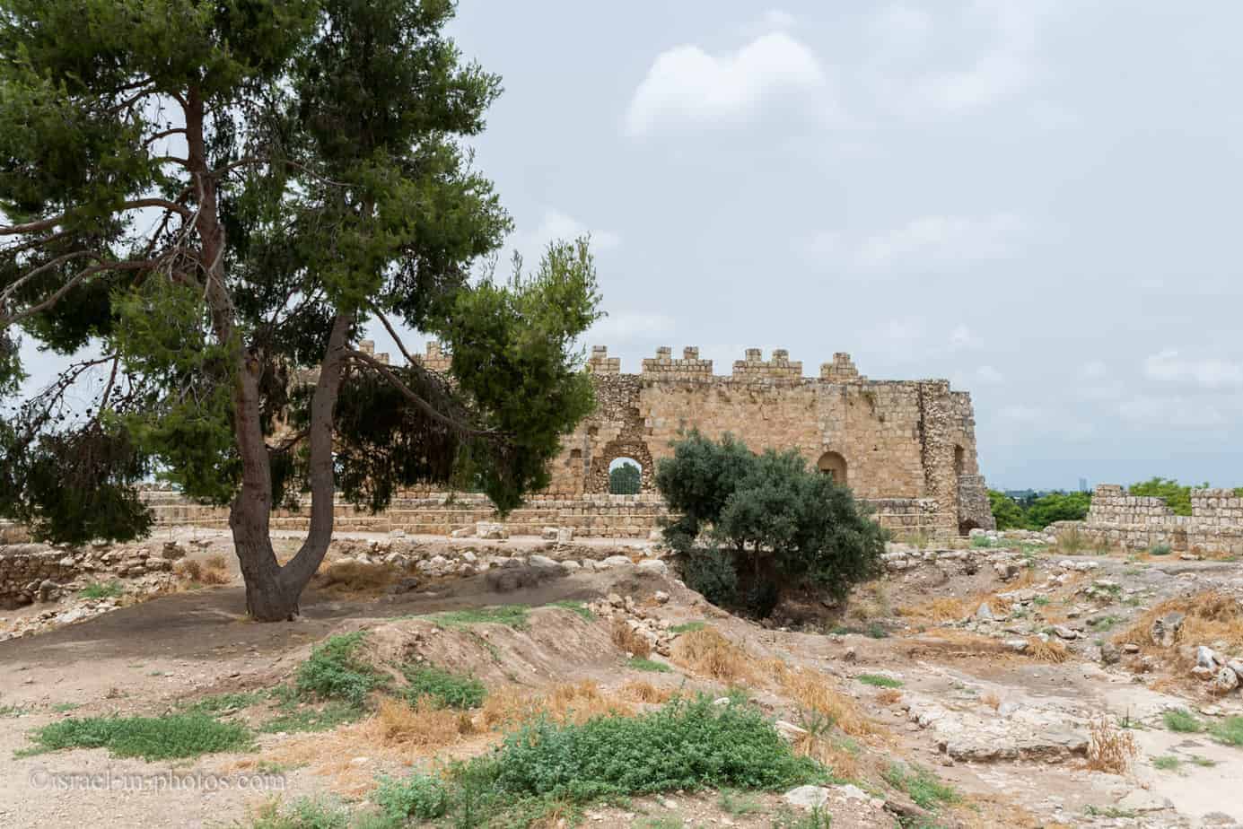https://mdw-travel-data-us-east-1.s3.amazonaws.com/img/country/Israel/Yarkon-Park/img_03.jpg