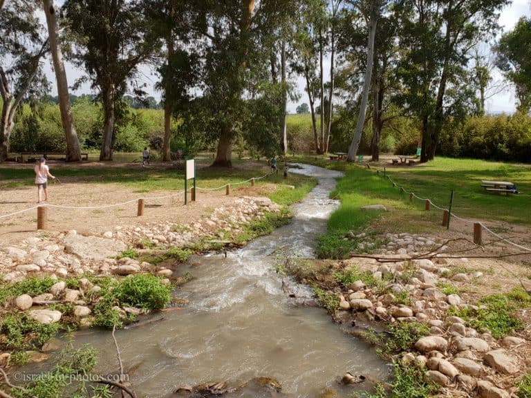 https://mdw-travel-data-us-east-1.s3.amazonaws.com/img/country/Israel/Yarkon-Springs-Park/img_02.jpg