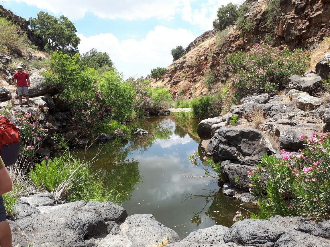 https://mdw-travel-data-us-east-1.s3.amazonaws.com/img/country/Israel/Zavitan-River/img_00.jpg