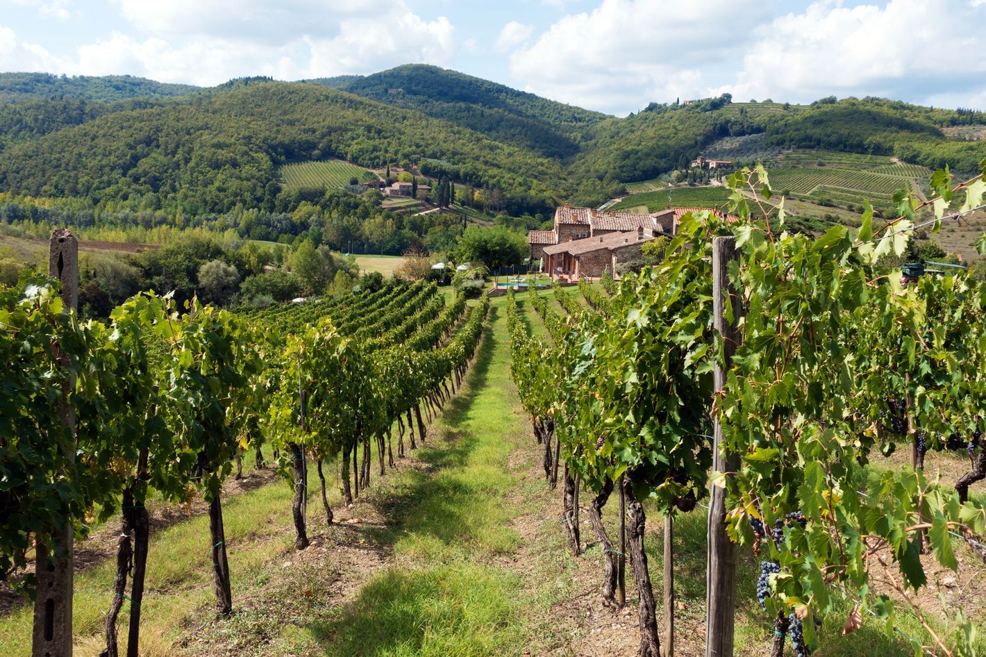 https://mdw-travel-data-us-east-1.s3.amazonaws.com/img/country/Italy/Chianti-Wine-Region/img_01.jpg