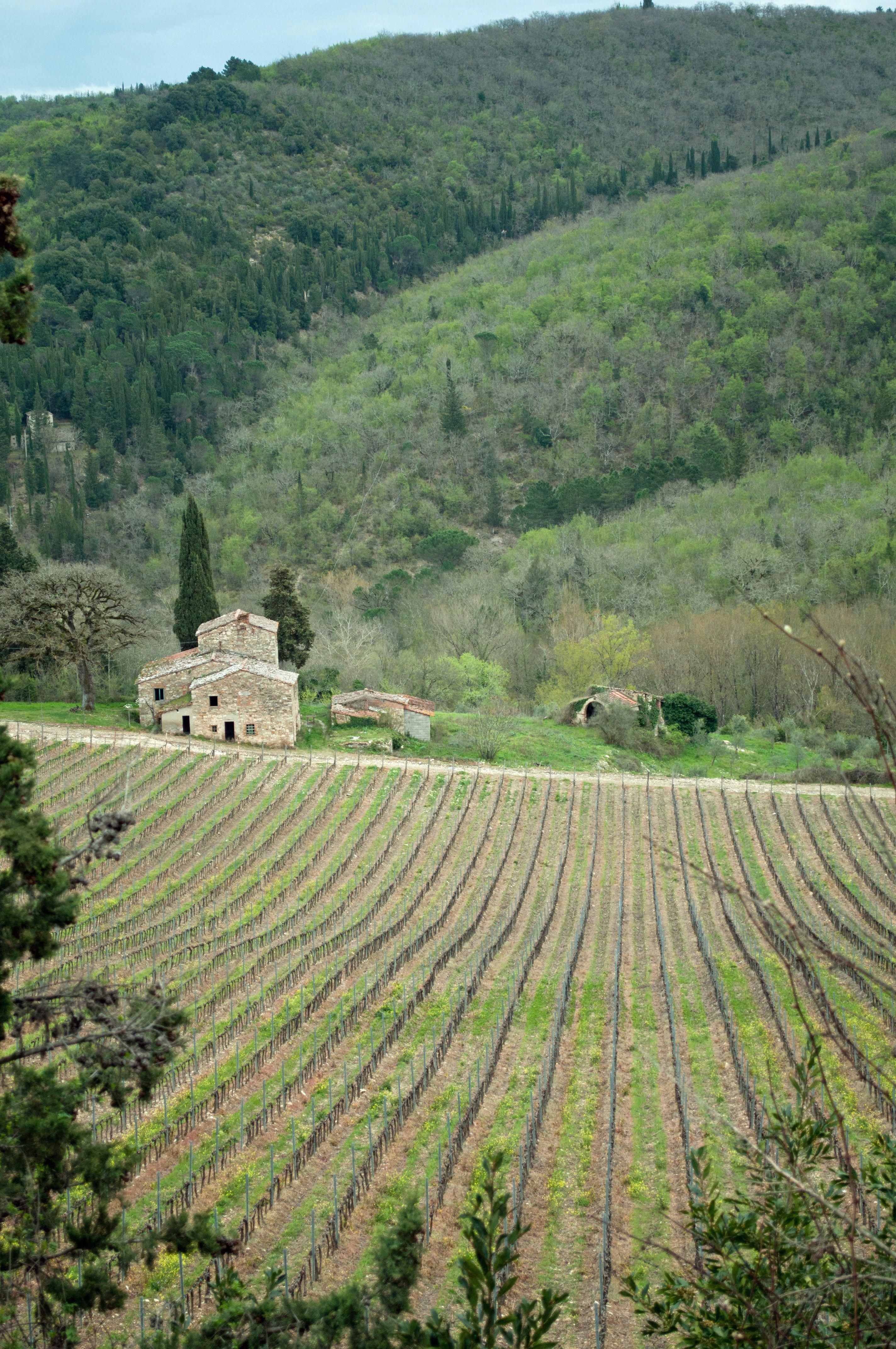 https://mdw-travel-data-us-east-1.s3.amazonaws.com/img/country/Italy/Chianti-Wine-Region/img_02.jpg