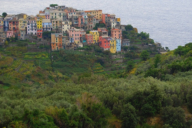 https://mdw-travel-data-us-east-1.s3.amazonaws.com/img/country/Italy/Corniglia/img_02.jpg