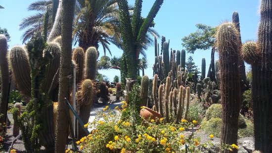 https://mdw-travel-data-us-east-1.s3.amazonaws.com/img/country/Italy/Giardini-Ravino/img_02.jpg