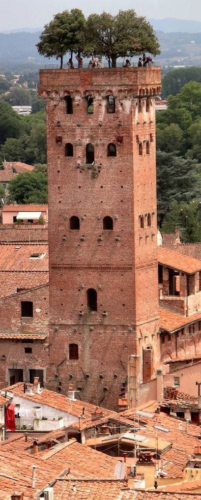 https://mdw-travel-data-us-east-1.s3.amazonaws.com/img/country/Italy/Guinigi-Tower/img_01.jpg