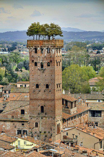 https://mdw-travel-data-us-east-1.s3.amazonaws.com/img/country/Italy/Guinigi-Tower/img_02.jpg
