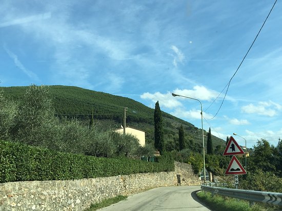 https://mdw-travel-data-us-east-1.s3.amazonaws.com/img/country/Italy/Monte-Serra/img_01.jpg