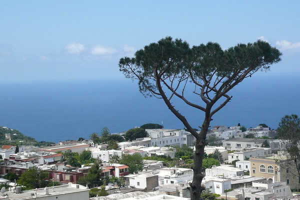 https://mdw-travel-data-us-east-1.s3.amazonaws.com/img/country/Italy/Monte-Solaro/img_03.jpg