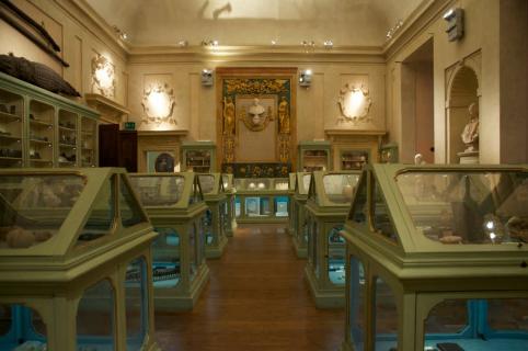https://mdw-travel-data-us-east-1.s3.amazonaws.com/img/country/Italy/Museo-di-Palazzo-Poggi/img_03.jpg