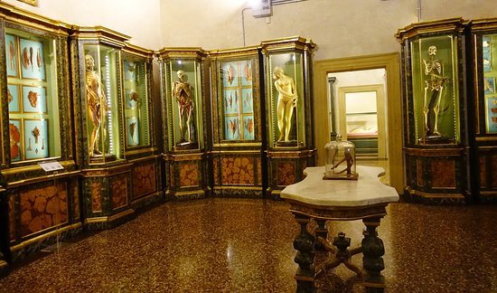 https://mdw-travel-data-us-east-1.s3.amazonaws.com/img/country/Italy/Museo-di-Palazzo-Poggi/img_04.jpg