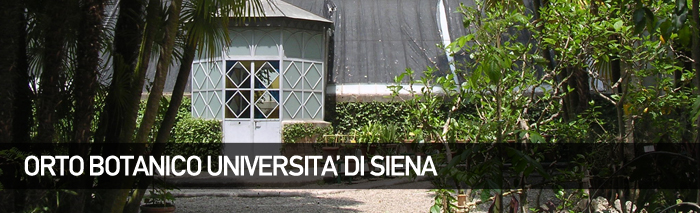 https://mdw-travel-data-us-east-1.s3.amazonaws.com/img/country/Italy/Orto-Botanico-dellUniversita-di-Siena/img_00.jpg