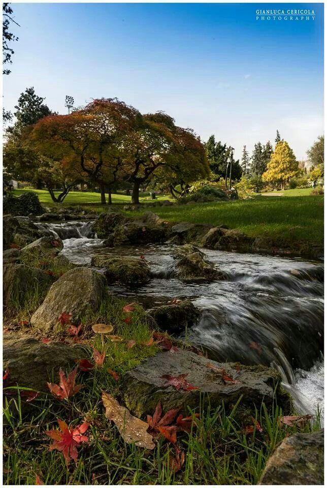 https://mdw-travel-data-us-east-1.s3.amazonaws.com/img/country/Italy/Parco-del-Valentino/img_02.jpg