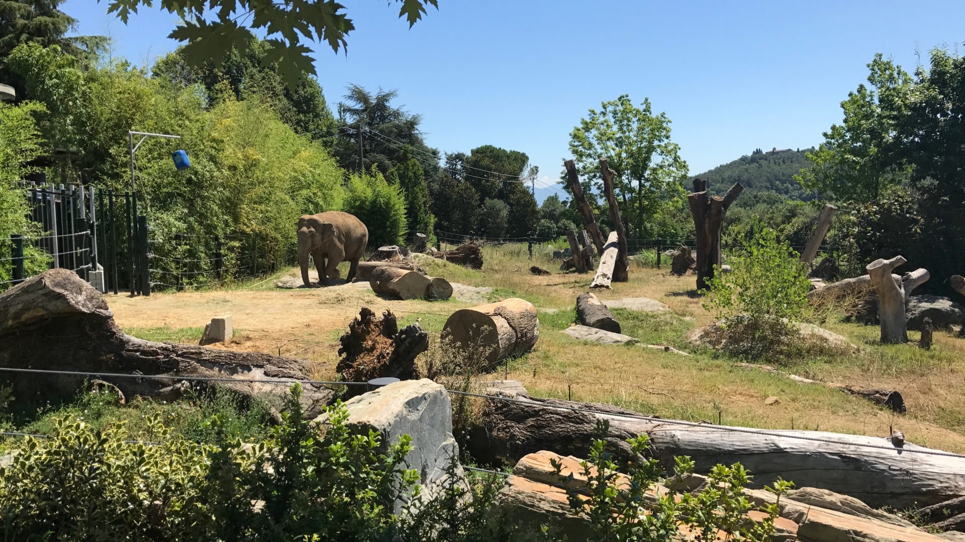 https://mdw-travel-data-us-east-1.s3.amazonaws.com/img/country/Italy/Pistoia-Zoo/img_01.jpg