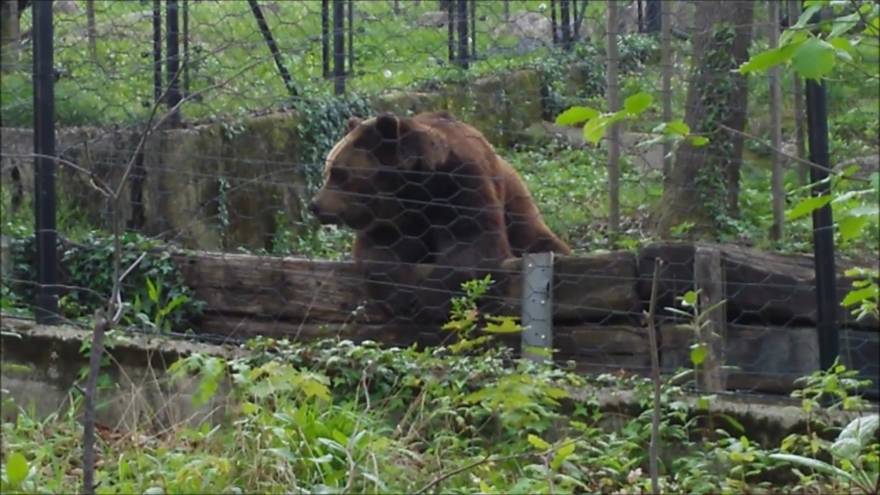 https://mdw-travel-data-us-east-1.s3.amazonaws.com/img/country/Italy/Pistoia-Zoo/img_02.jpg