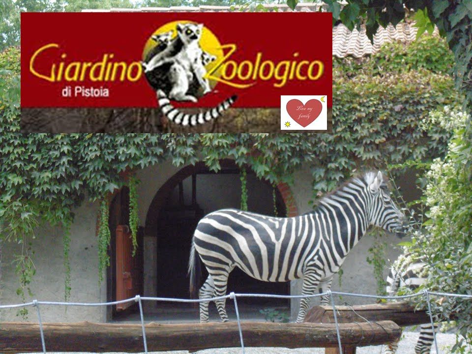 https://mdw-travel-data-us-east-1.s3.amazonaws.com/img/country/Italy/Pistoia-Zoo/img_03.jpg