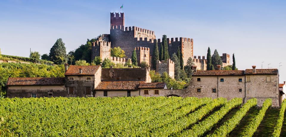 https://mdw-travel-data-us-east-1.s3.amazonaws.com/img/country/Italy/Soave/img_02.jpg