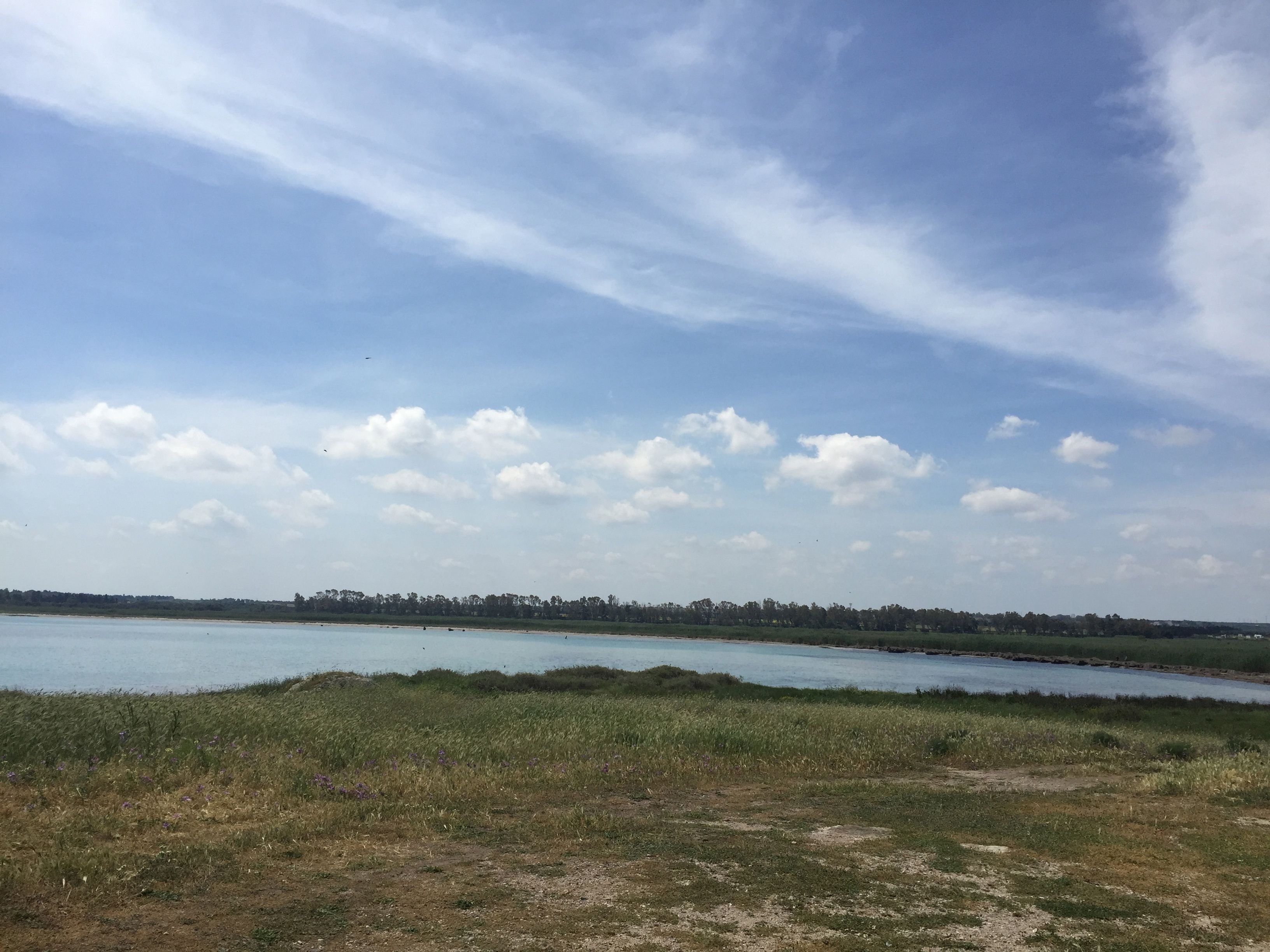https://mdw-travel-data-us-east-1.s3.amazonaws.com/img/country/Italy/Torre-Guaceto-Nature-Reserve/img_03.jpg