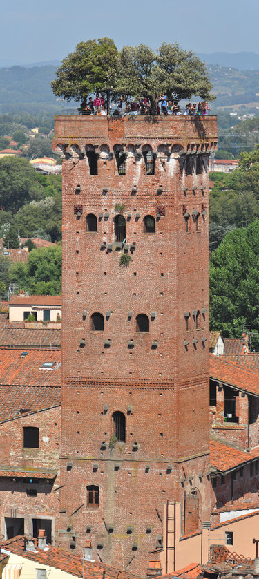 https://mdw-travel-data-us-east-1.s3.amazonaws.com/img/country/Italy/Torre-Guinigi/img_01.jpg
