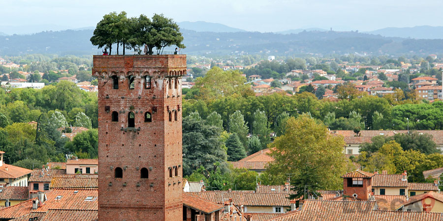 https://mdw-travel-data-us-east-1.s3.amazonaws.com/img/country/Italy/Torre-Guinigi/img_03.jpg