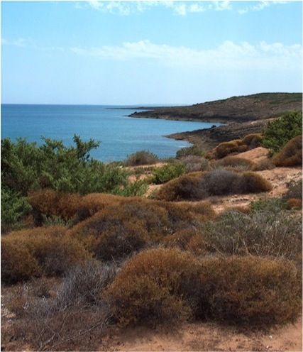 https://mdw-travel-data-us-east-1.s3.amazonaws.com/img/country/Italy/Vendicari-Nature-Reserve/img_02.jpg