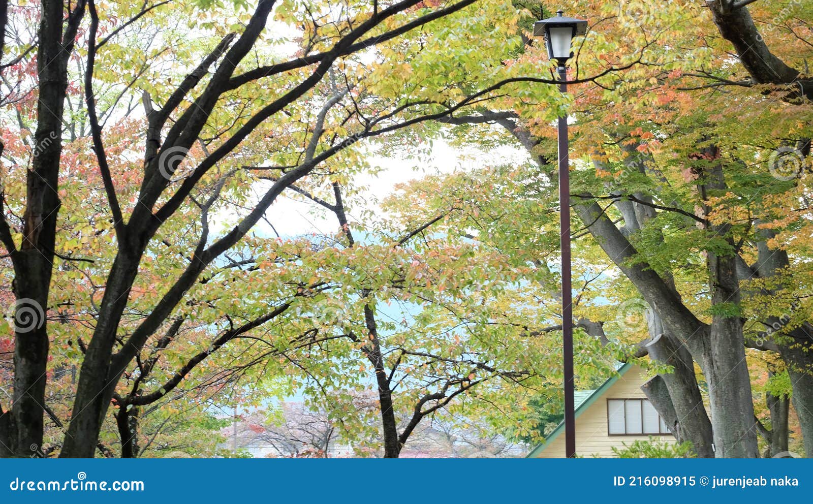 https://mdw-travel-data-us-east-1.s3.amazonaws.com/img/country/Japan/Agatanomori-Park-Asama-Pond/img_03.jpg