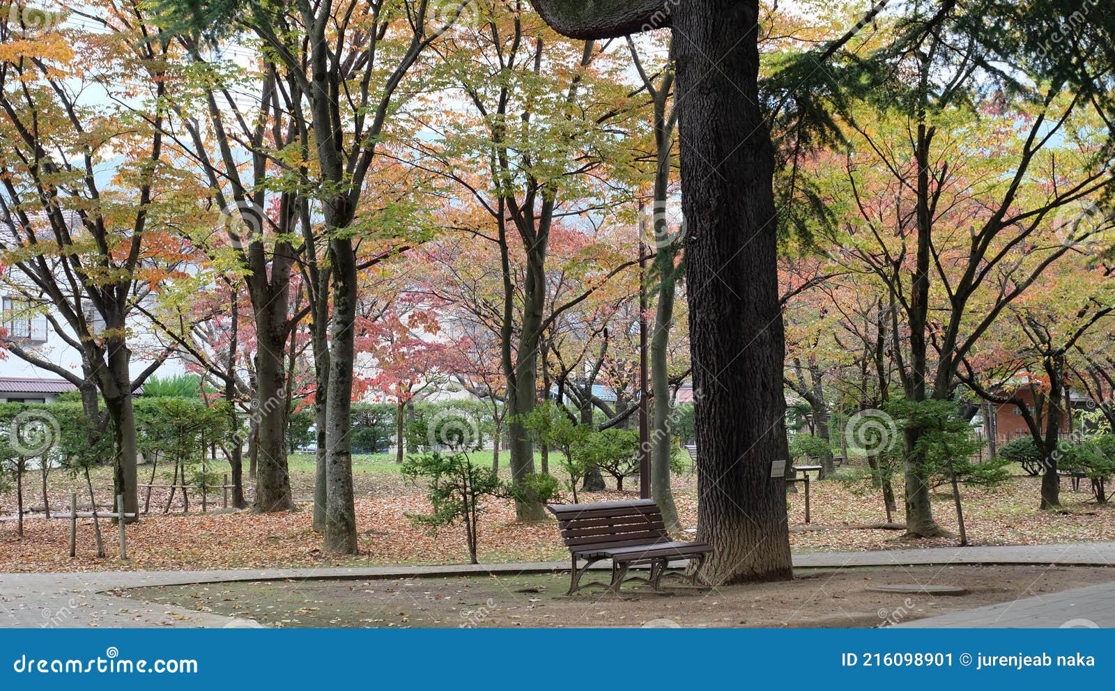 https://mdw-travel-data-us-east-1.s3.amazonaws.com/img/country/Japan/Agatanomori-Park/img_03.jpg