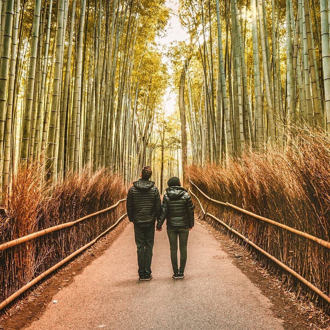 https://mdw-travel-data-us-east-1.s3.amazonaws.com/img/country/Japan/Arashiyama-Bamboo-Grove/img_00.jpg