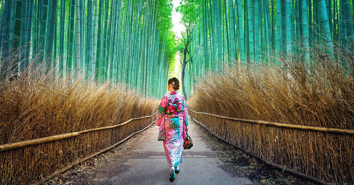 https://mdw-travel-data-us-east-1.s3.amazonaws.com/img/country/Japan/Arashiyama-Bamboo-Grove/img_01.jpg