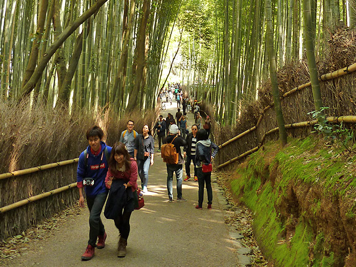 https://mdw-travel-data-us-east-1.s3.amazonaws.com/img/country/Japan/Arashiyama-Bamboo-Grove/img_02.jpg