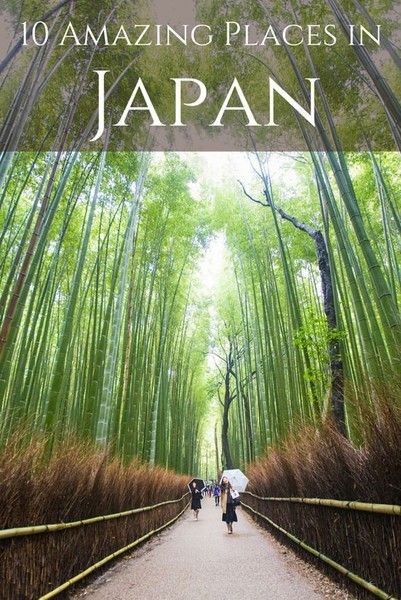 https://mdw-travel-data-us-east-1.s3.amazonaws.com/img/country/Japan/Arashiyama-Bamboo-Grove/img_03.jpg