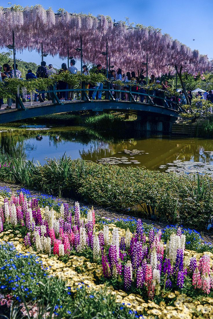 https://mdw-travel-data-us-east-1.s3.amazonaws.com/img/country/Japan/Ashikaga-Flower-Park/img_02.jpg