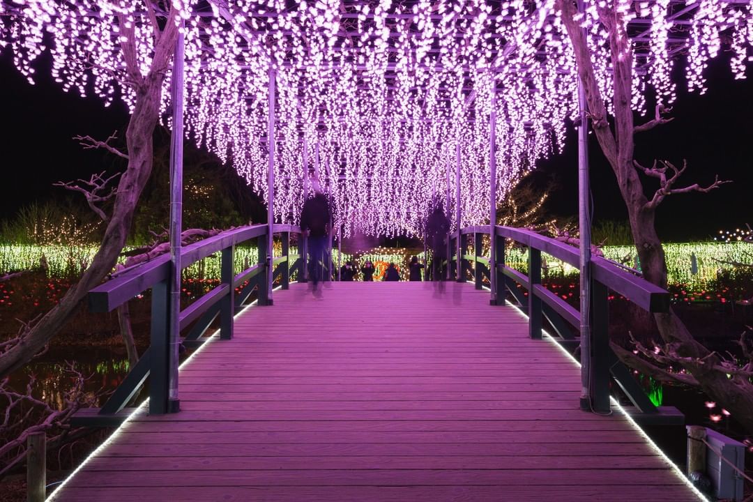 https://mdw-travel-data-us-east-1.s3.amazonaws.com/img/country/Japan/Ashikaga-Flower-Park/img_03.jpg