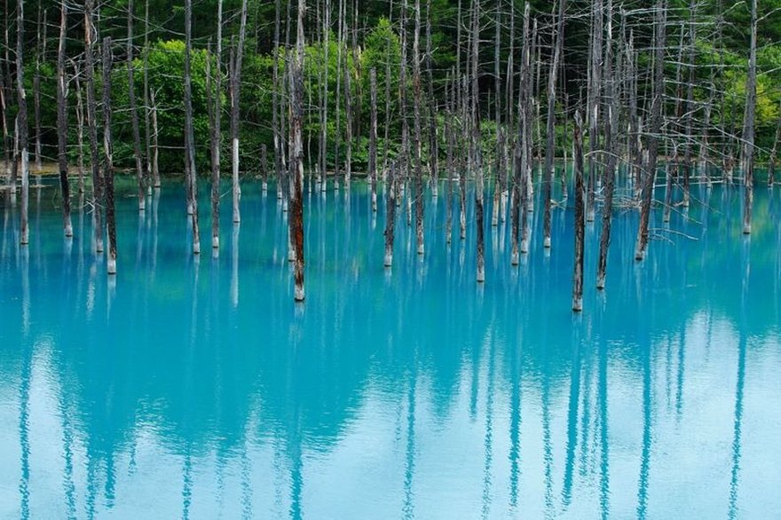 https://mdw-travel-data-us-east-1.s3.amazonaws.com/img/country/Japan/Blue-Pond/img_02.jpg