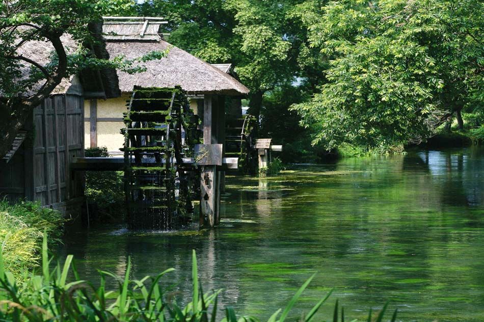https://mdw-travel-data-us-east-1.s3.amazonaws.com/img/country/Japan/Daio-Wasabi-Farm/img_03.jpg