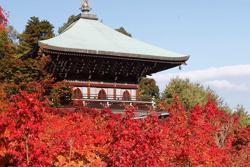 https://mdw-travel-data-us-east-1.s3.amazonaws.com/img/country/Japan/Daishoin-Temple/img_02.jpg