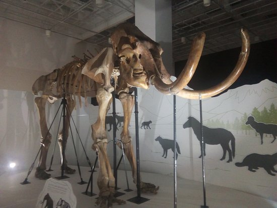 https://mdw-travel-data-us-east-1.s3.amazonaws.com/img/country/Japan/Fukuoka-City-Science-Museum/img_03.jpg