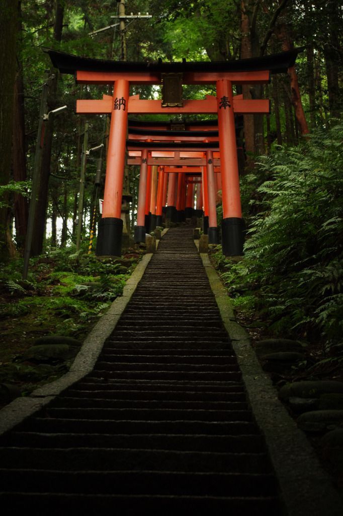 https://mdw-travel-data-us-east-1.s3.amazonaws.com/img/country/Japan/Fushimi-Inari-Taisha-Shrine/img_03.jpg