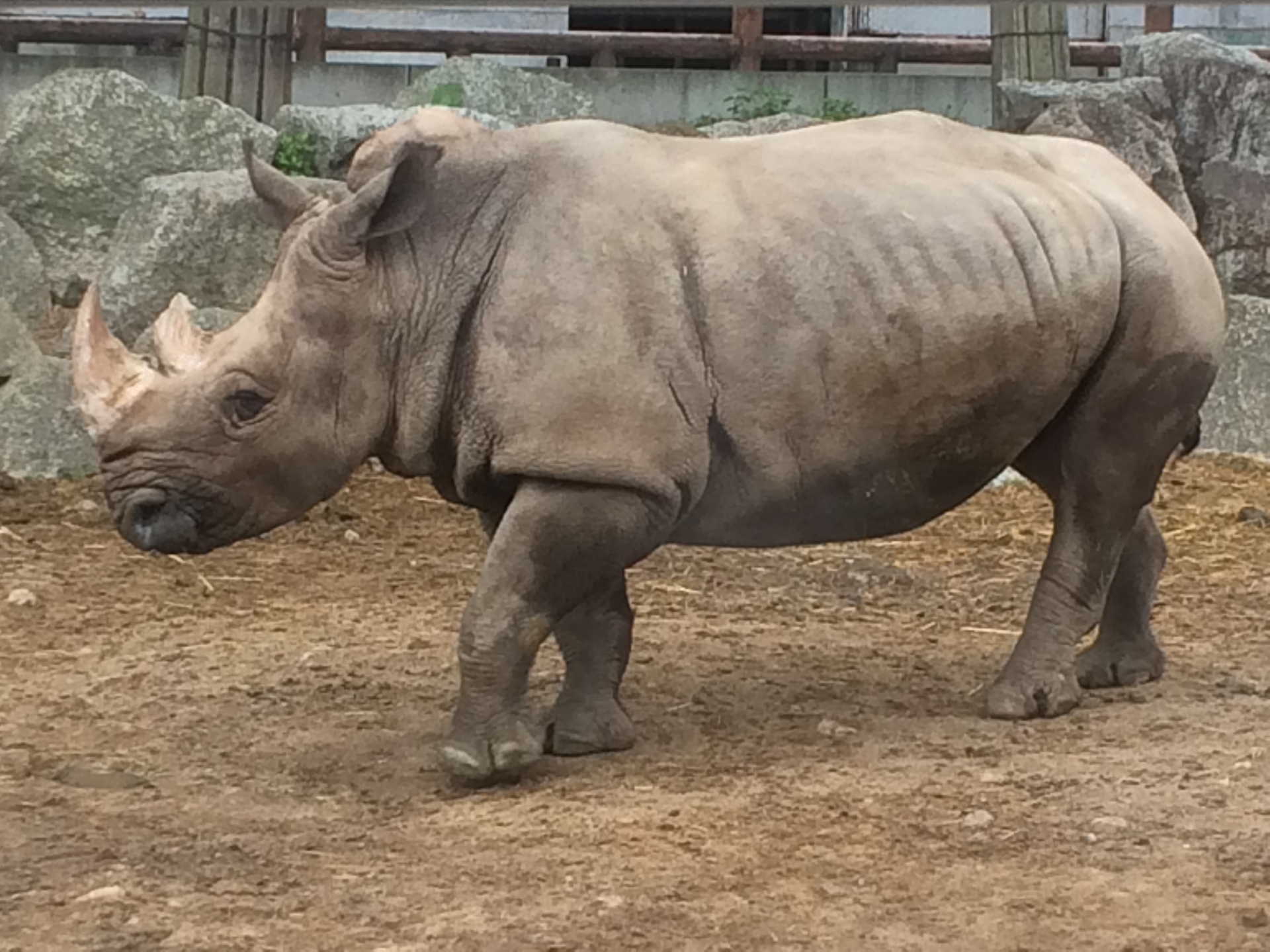 https://mdw-travel-data-us-east-1.s3.amazonaws.com/img/country/Japan/Gunma-Safari-Park/img_01.jpg