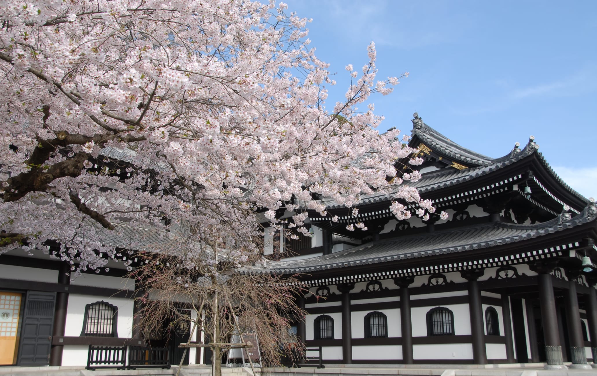 https://mdw-travel-data-us-east-1.s3.amazonaws.com/img/country/Japan/Hasedera-Hase-Kannon-Temple/img_00.jpg