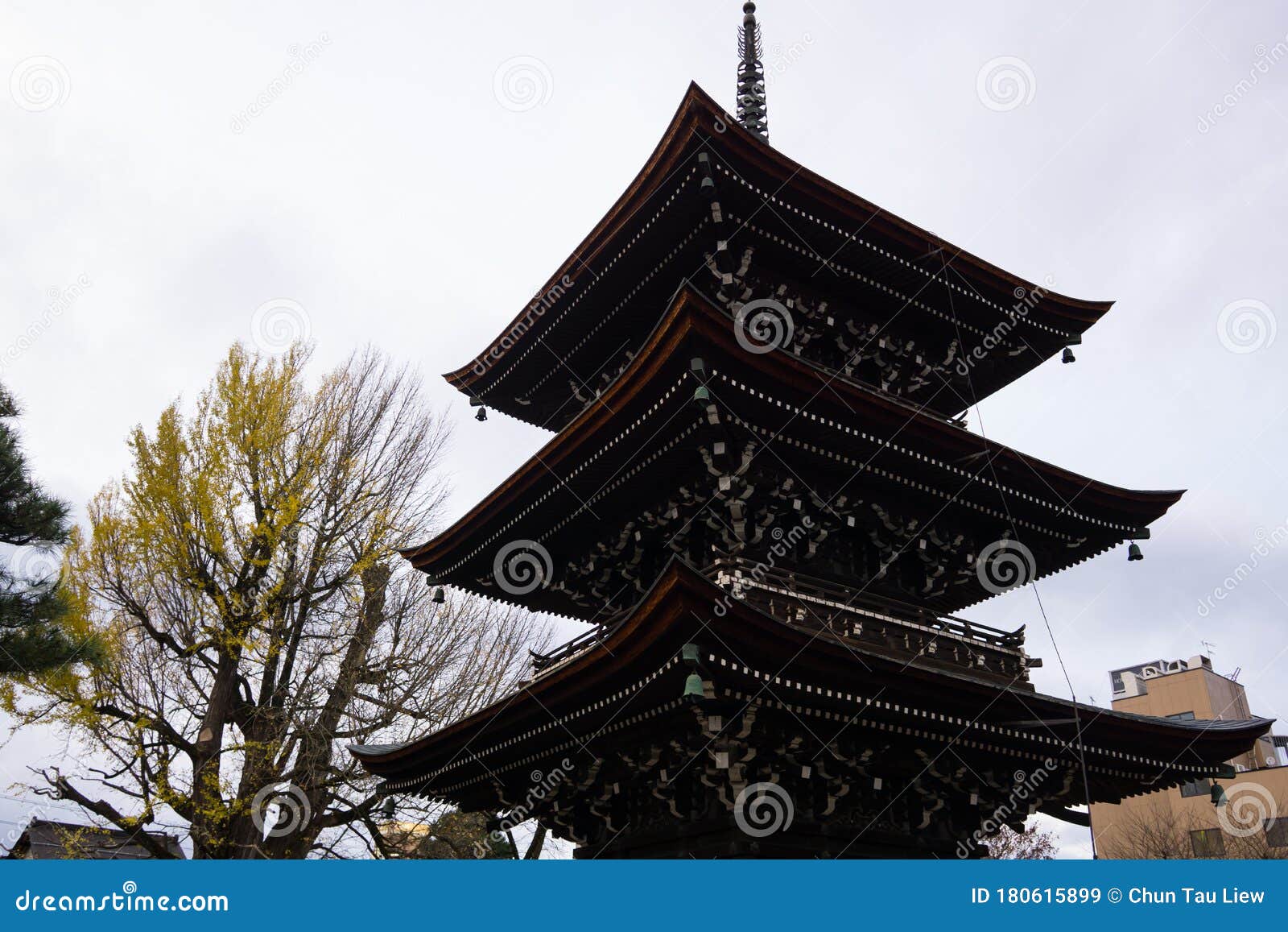 https://mdw-travel-data-us-east-1.s3.amazonaws.com/img/country/Japan/Hida-Kokubunji-Temple/img_02.jpg