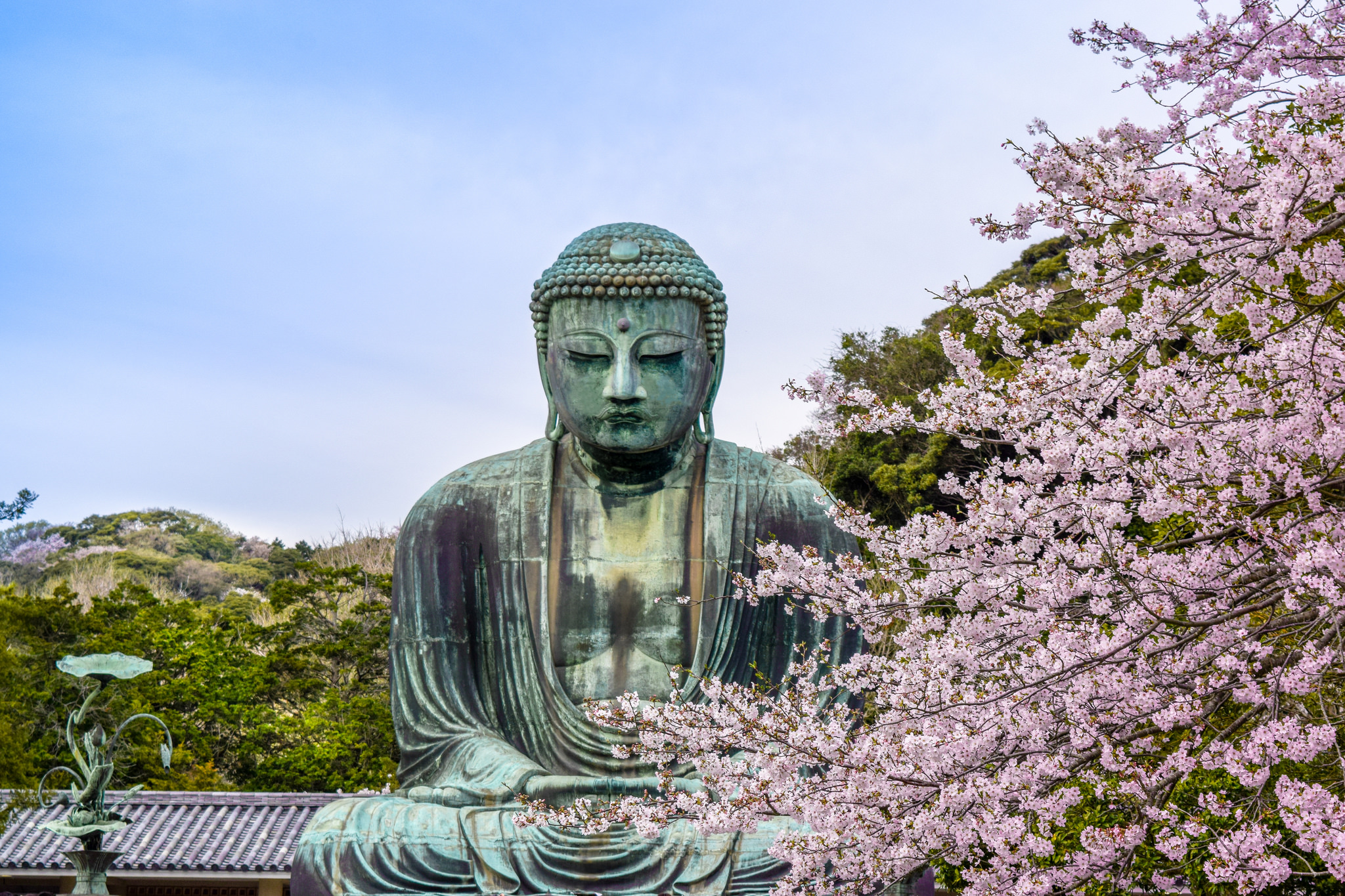 https://mdw-travel-data-us-east-1.s3.amazonaws.com/img/country/Japan/Himeta-Shrine/img_02.jpg