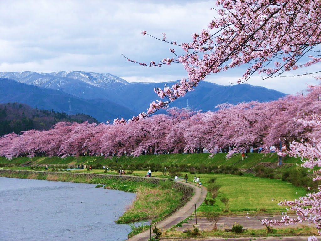 https://mdw-travel-data-us-east-1.s3.amazonaws.com/img/country/Japan/Kakunodate/img_01.jpg
