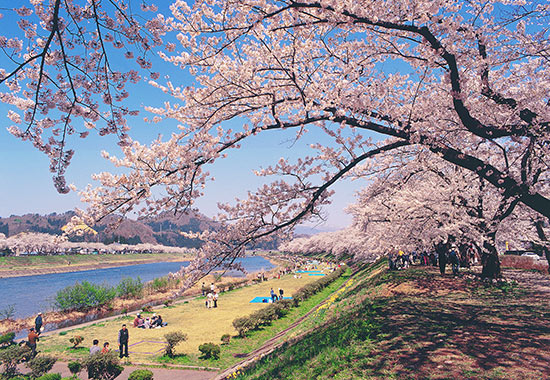 https://mdw-travel-data-us-east-1.s3.amazonaws.com/img/country/Japan/Kakunodate/img_02.jpg