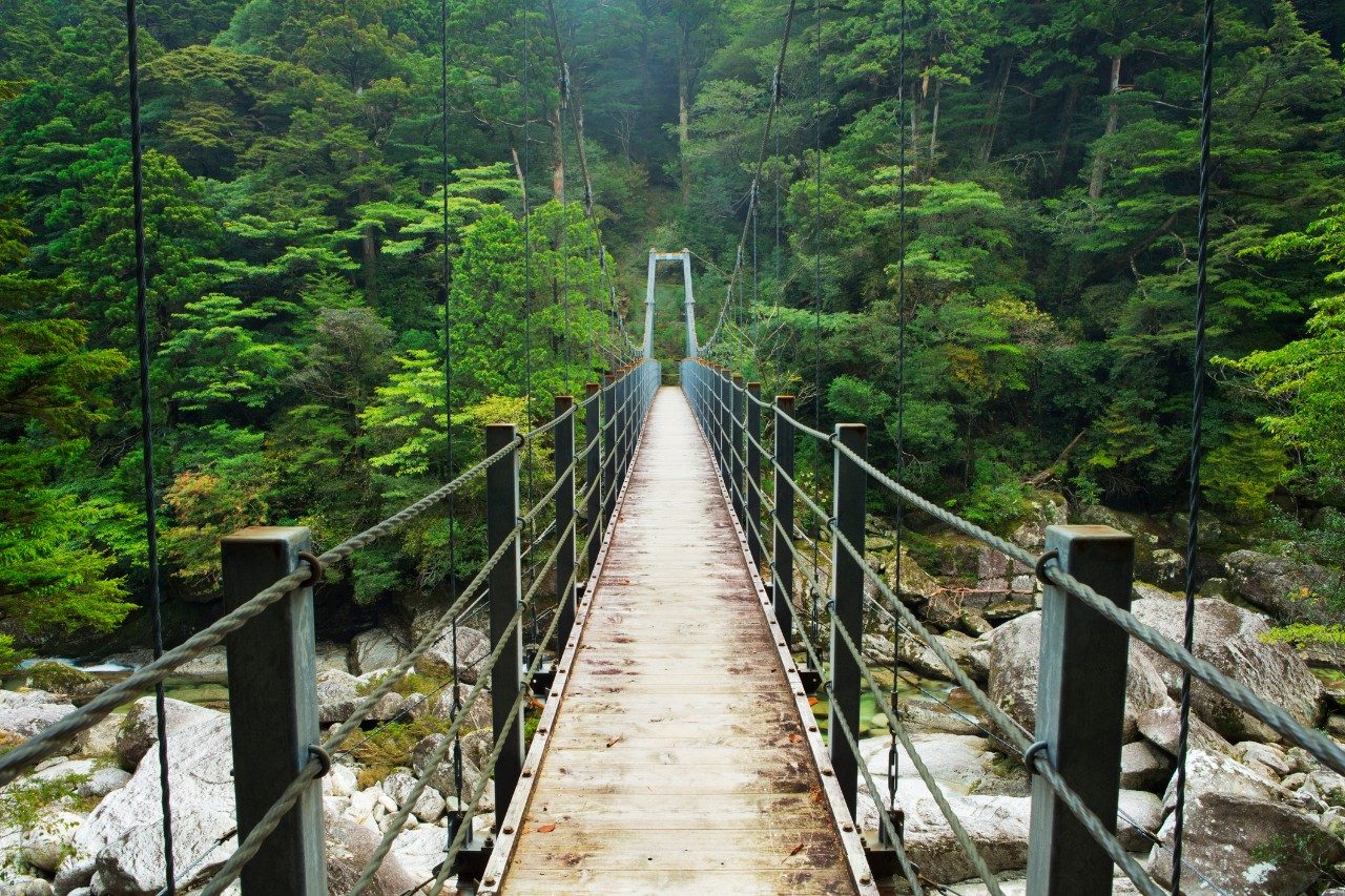 https://mdw-travel-data-us-east-1.s3.amazonaws.com/img/country/Japan/Kamakurayama-Hiking-Trail/img_01.jpg