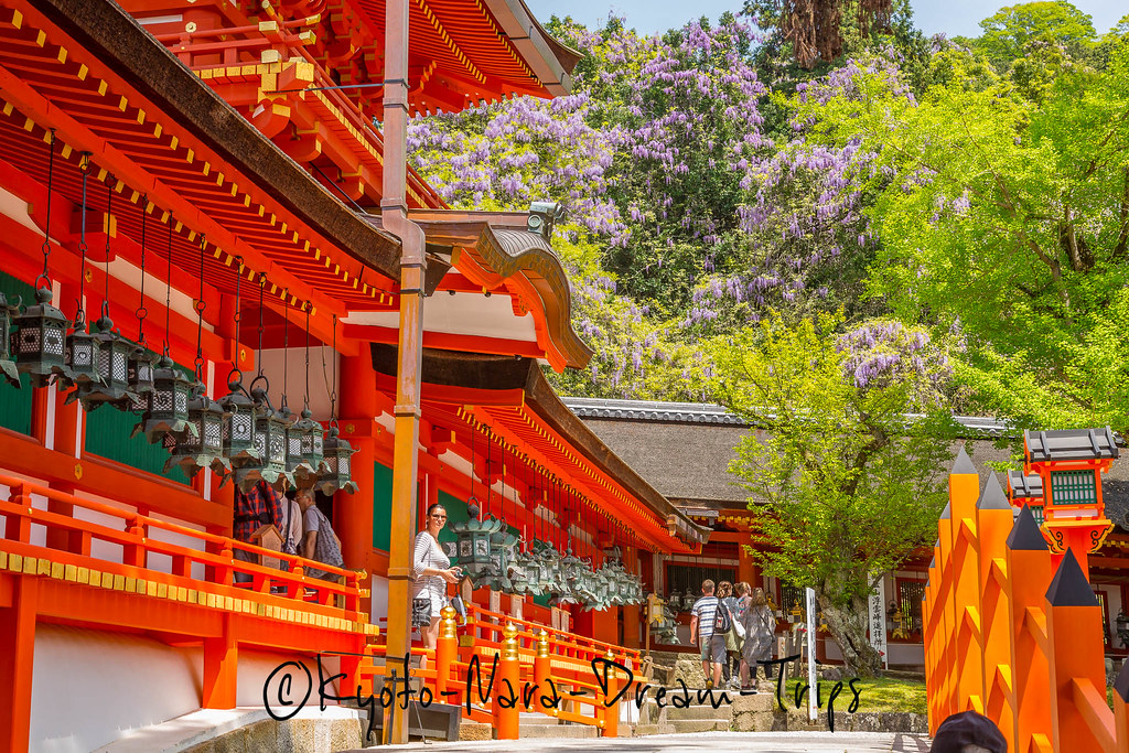 https://mdw-travel-data-us-east-1.s3.amazonaws.com/img/country/Japan/Kasuga-Taisha/img_02.jpg